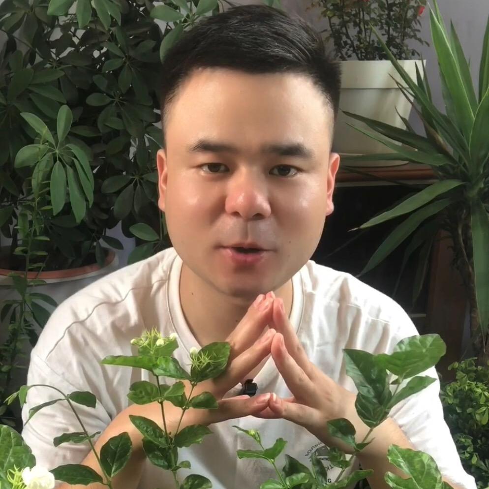 阳台种植
