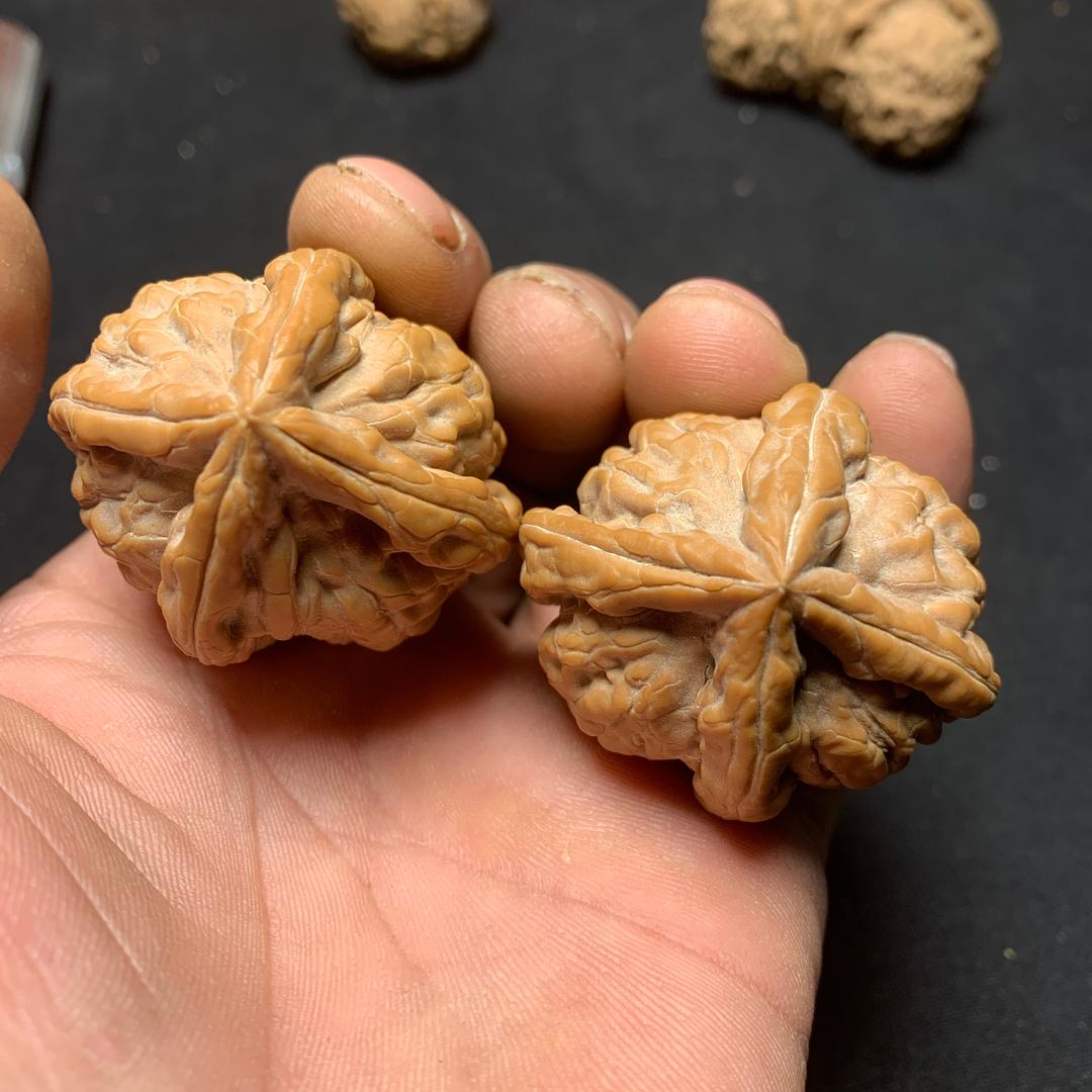 专业野麻小众部落