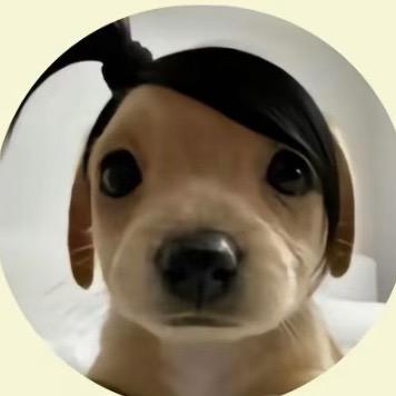 ˶᳐呆呆小媛˶᳐
