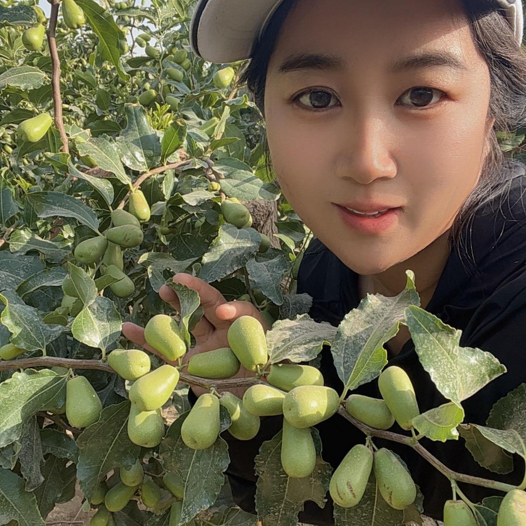 和田大枣园里的琴妹子