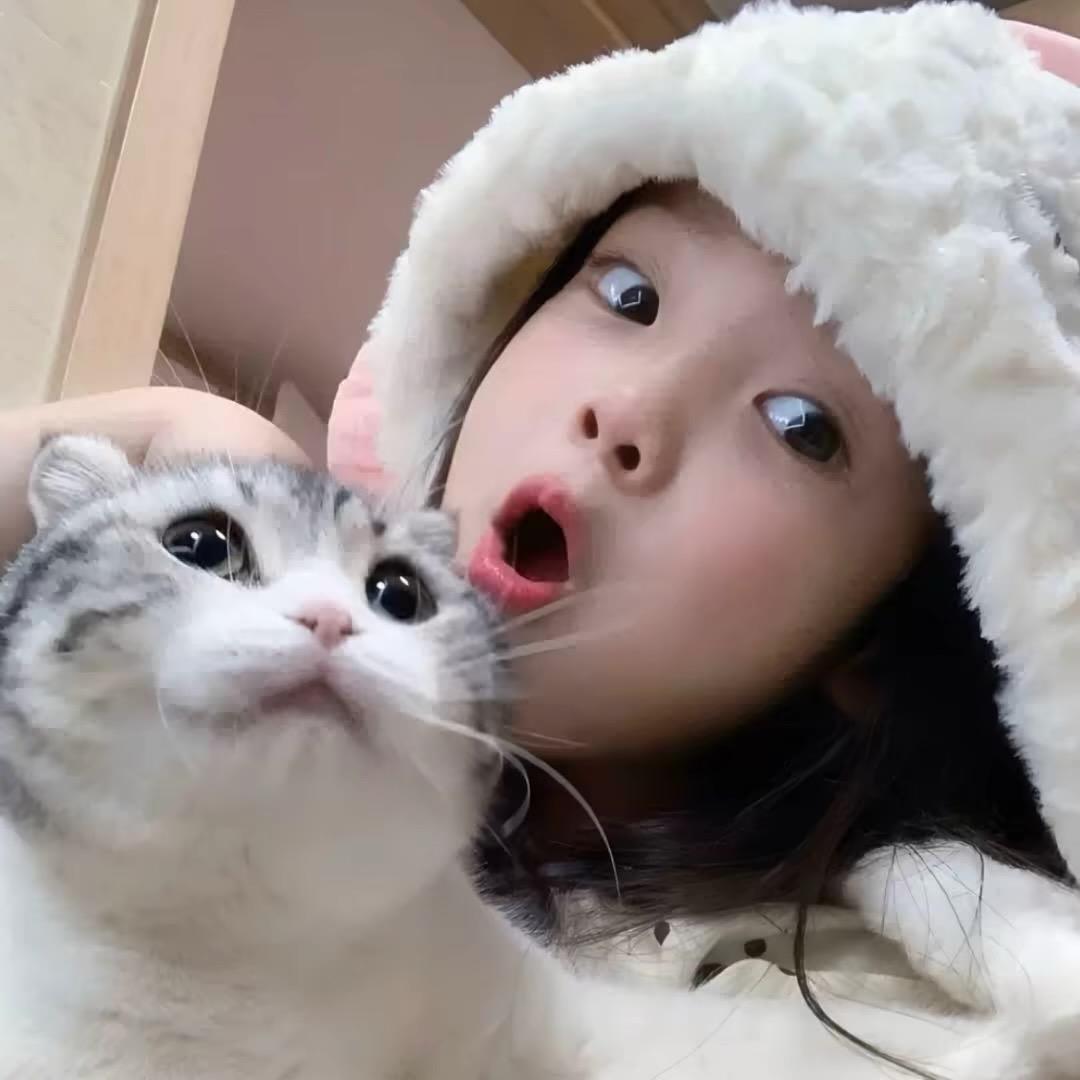陳梅梅
