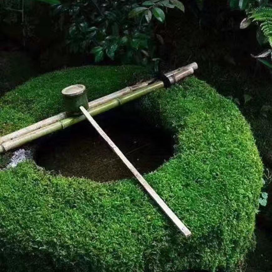 缘石聚友