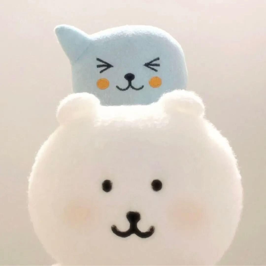 用户12862816260