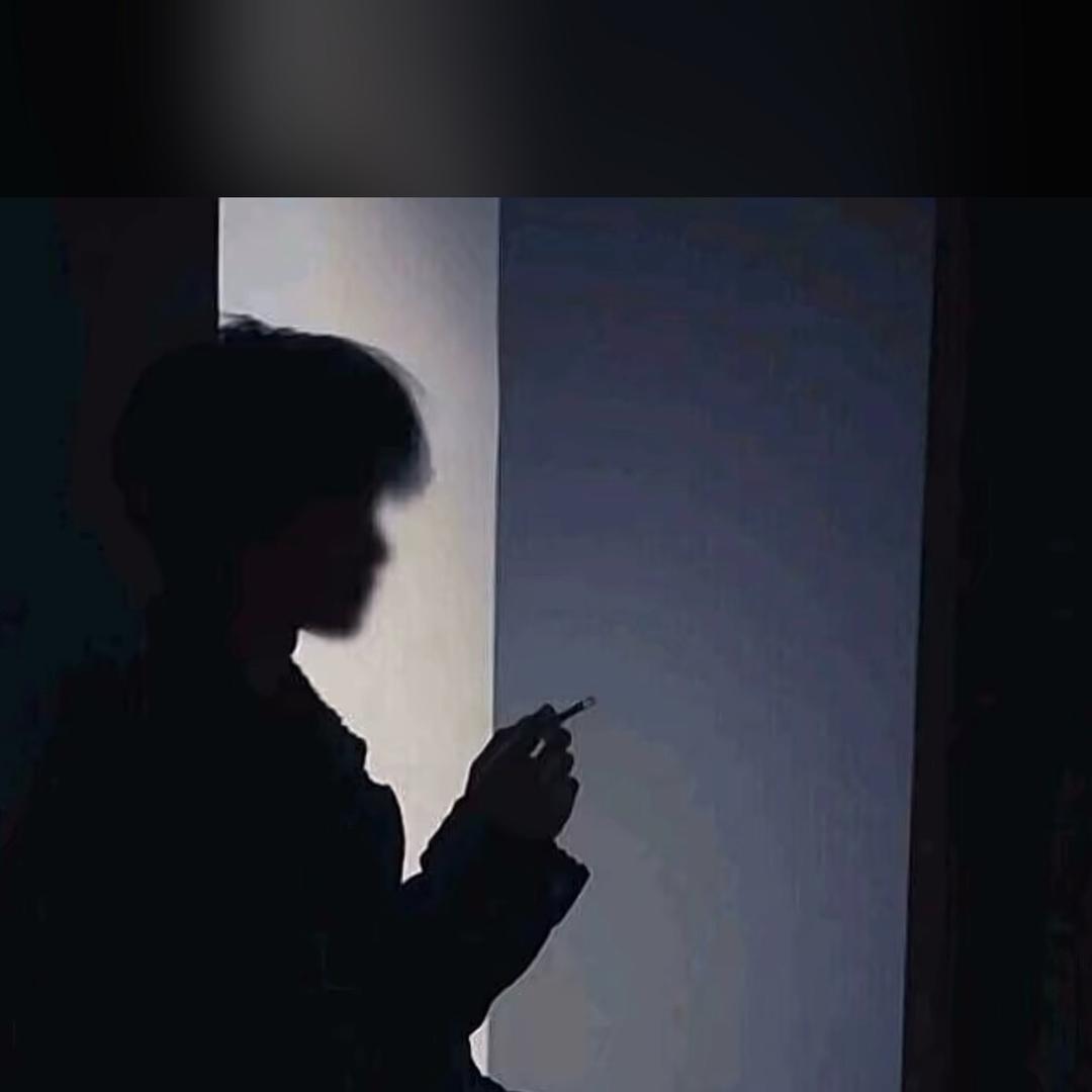 杨了个杨