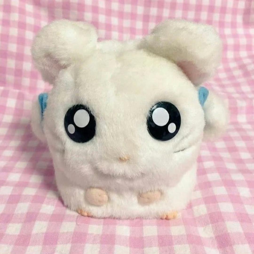 一碗泡菜菜菜菜