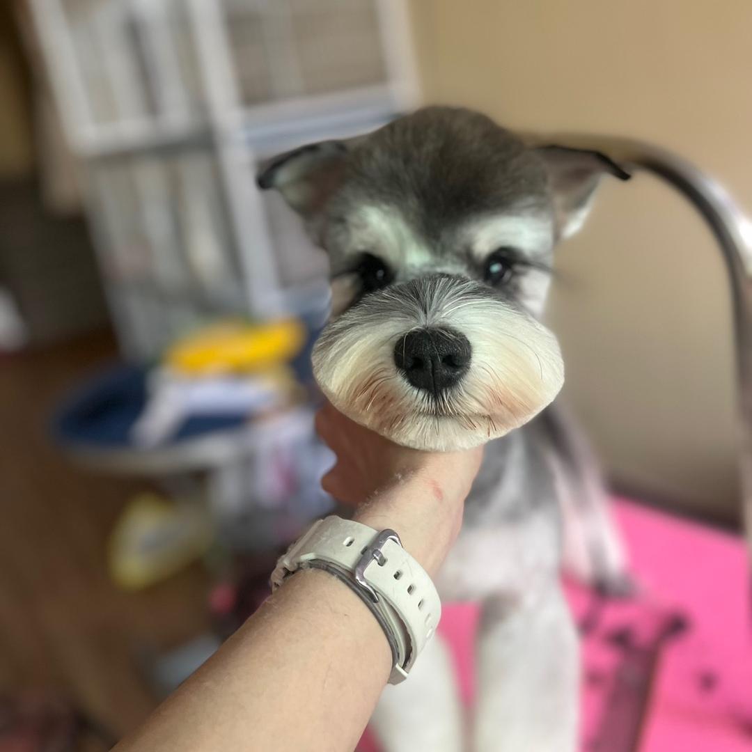 临淄一佳乐宠萌宠精品店