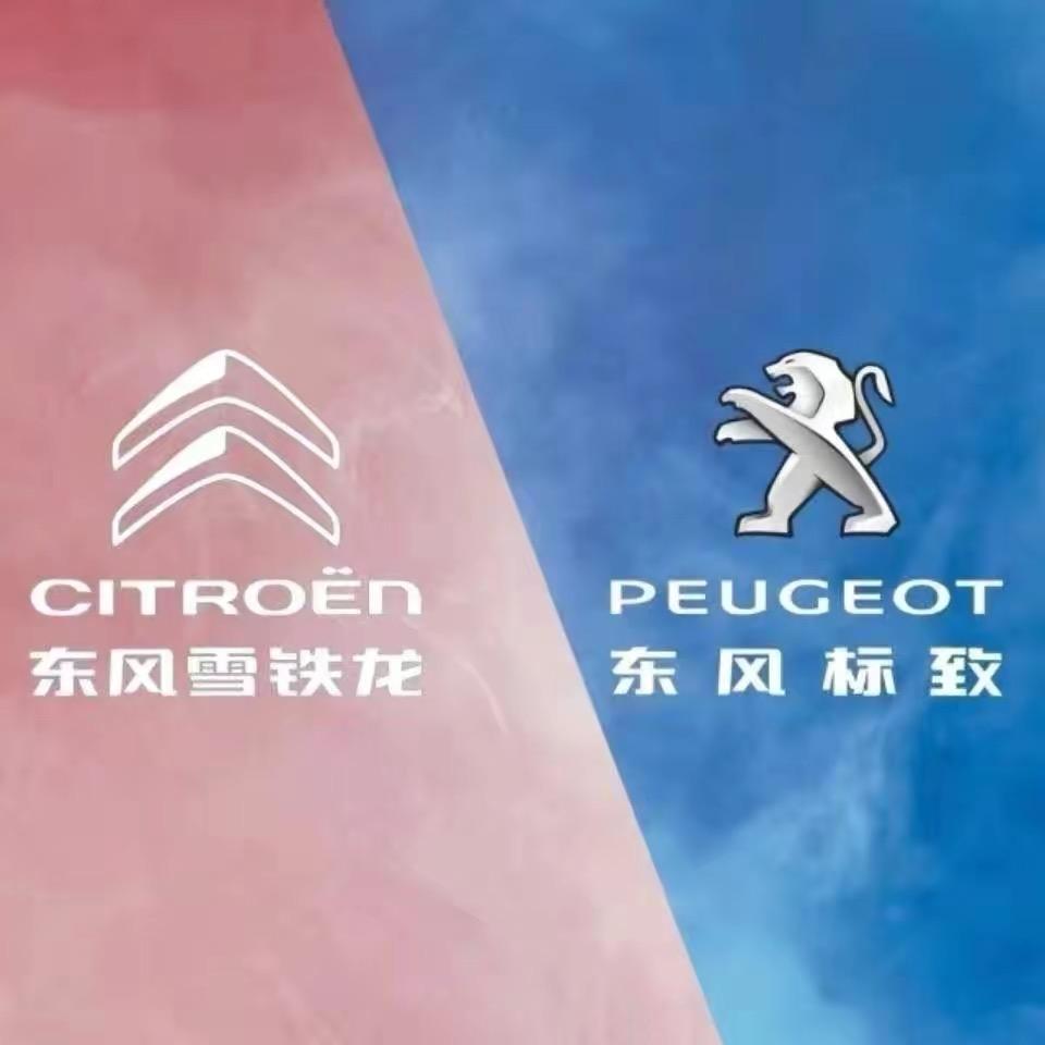 法系标致雪铁龙一口价售全国