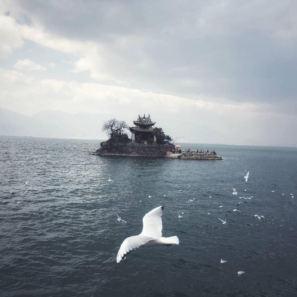 苏念（直播被封7天）15号解开