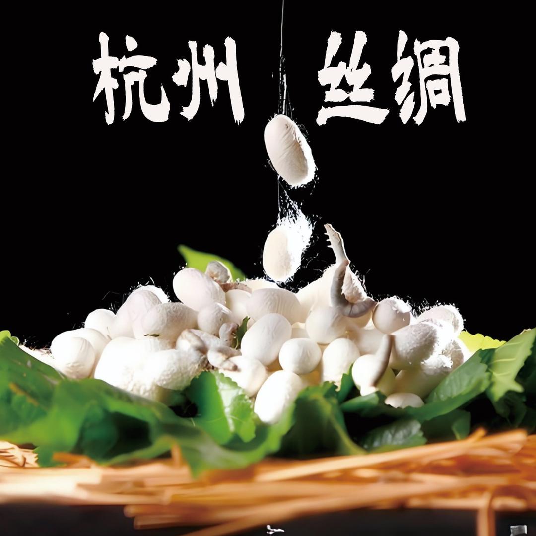 杭州丝绸