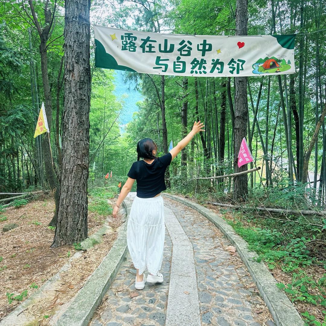 糖醋小鲤于🐟