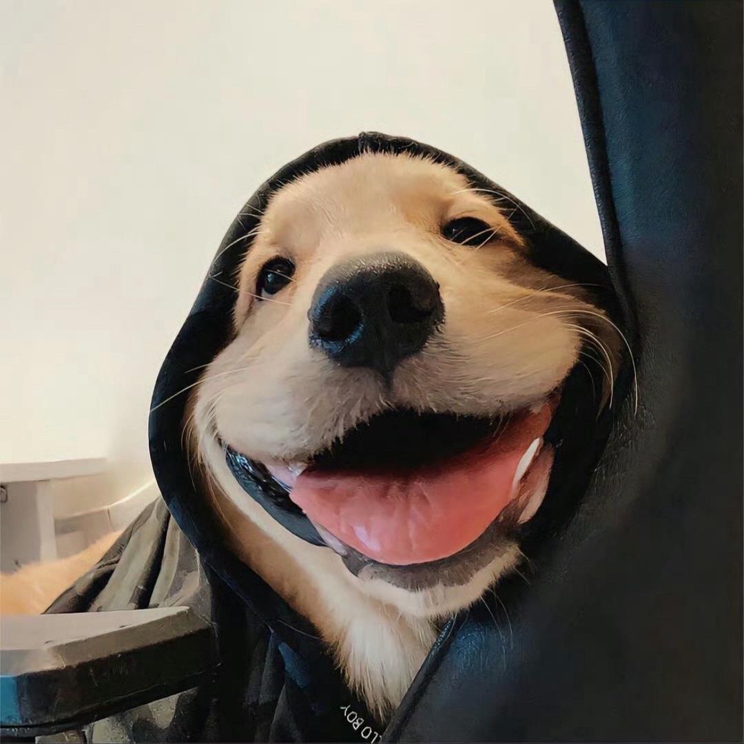 吃土豆长不大的马铃薯