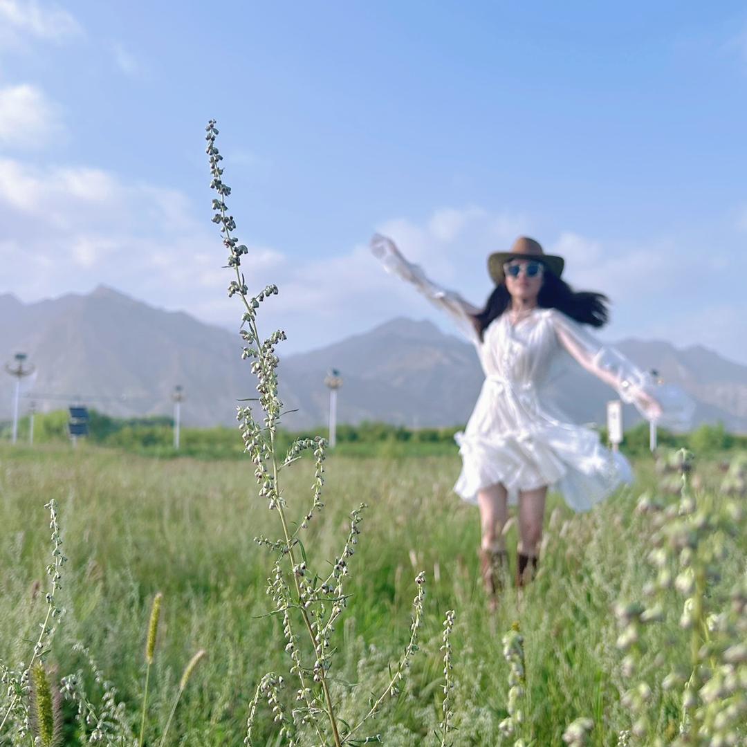 丸子zhuzhu