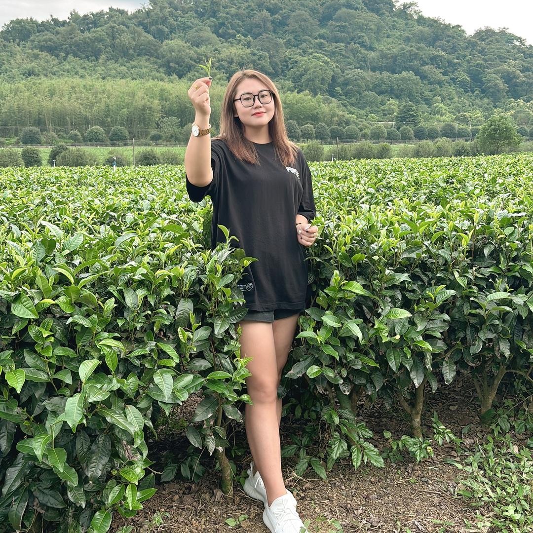 🍃英红九号🍵茶小妹