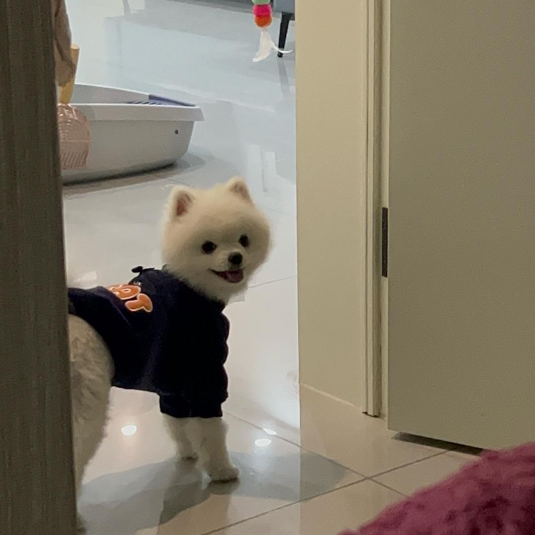 豆豆的朋友圈