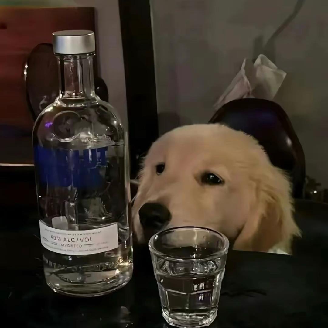 翼凌