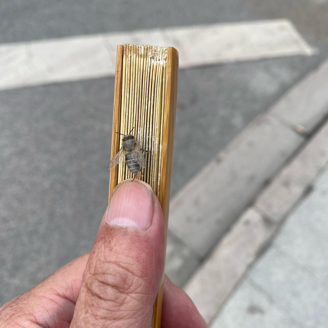 邵记扇庄