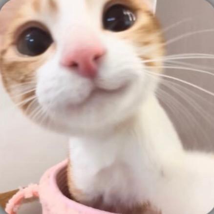 鹏哥家电清仓