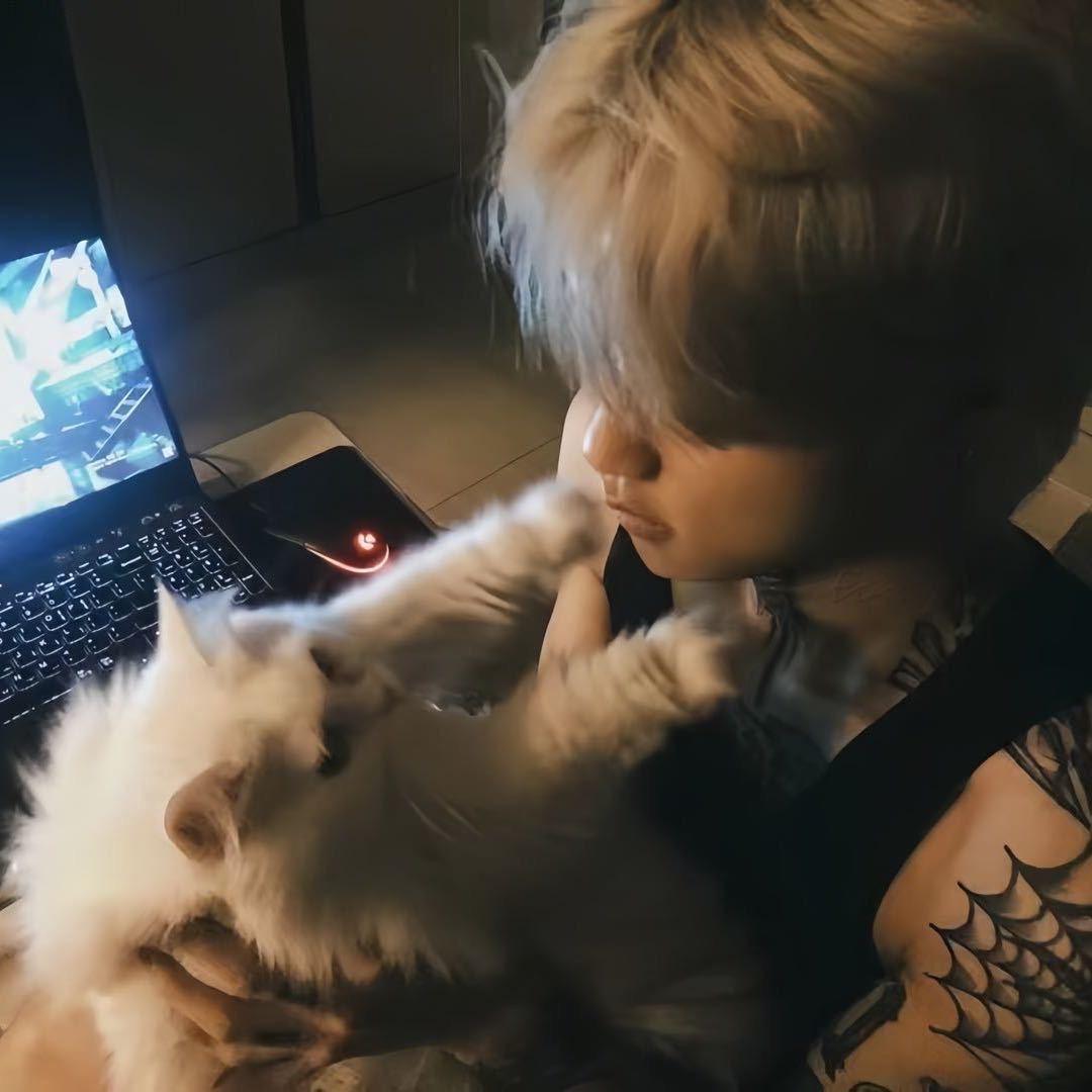 小灰