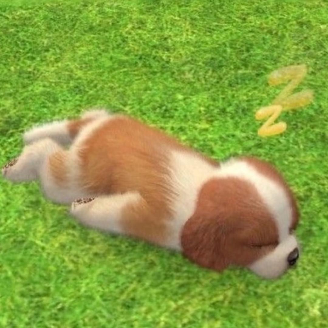 小邓同学