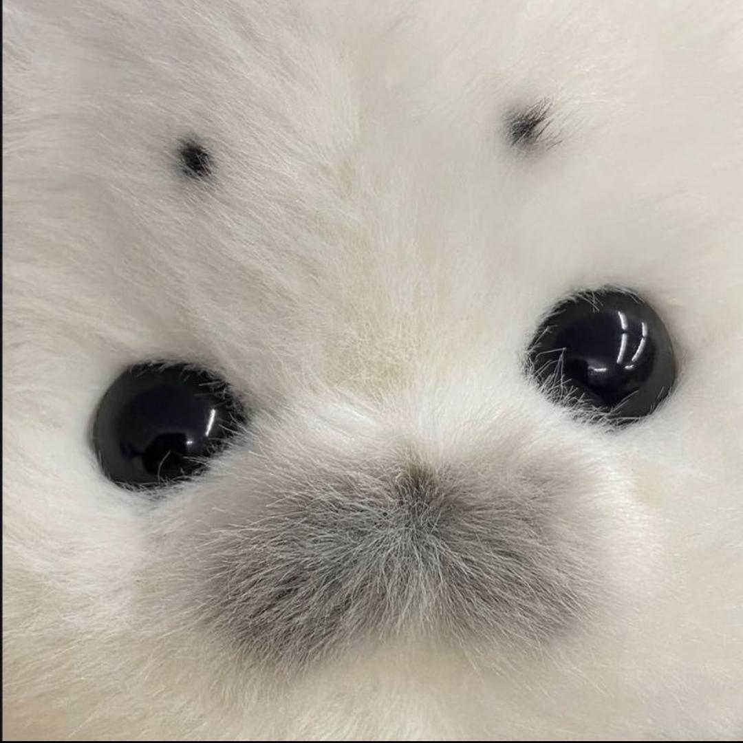 潮生的捏毛号