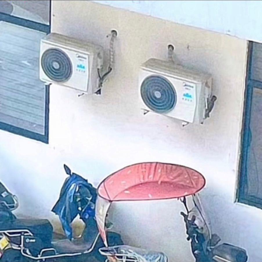 小鲤鱼干癞皮蛇