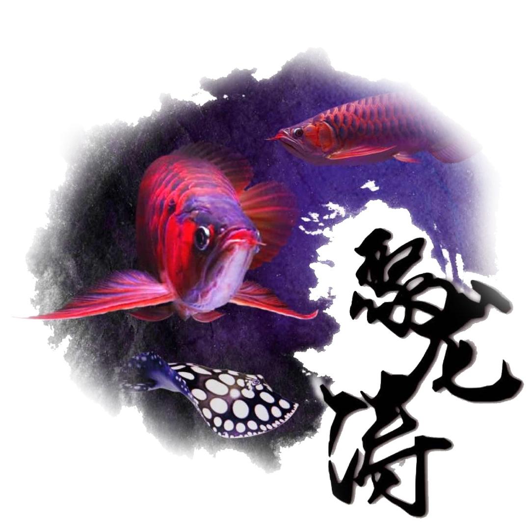 聚龙涛