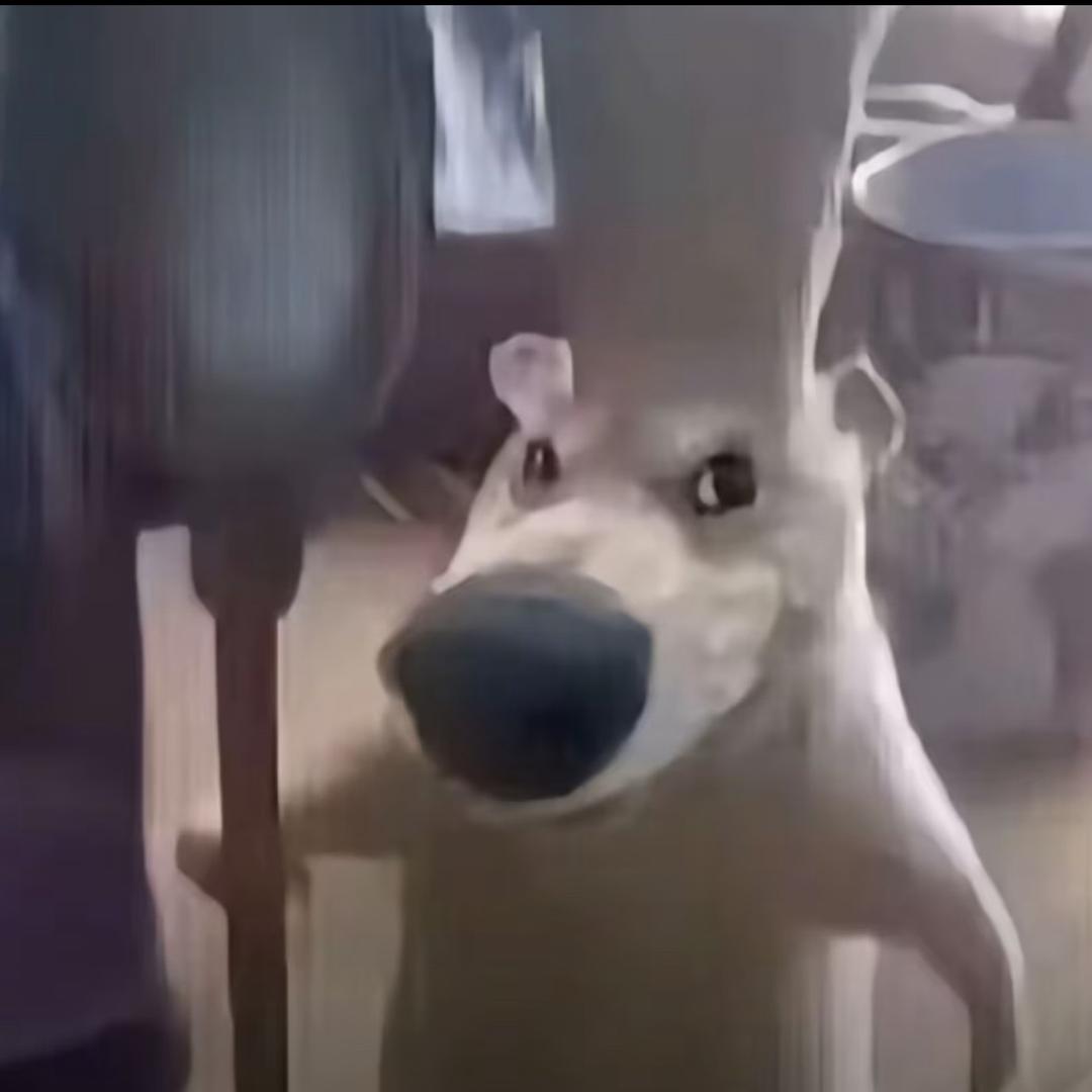 愤怒的小巴