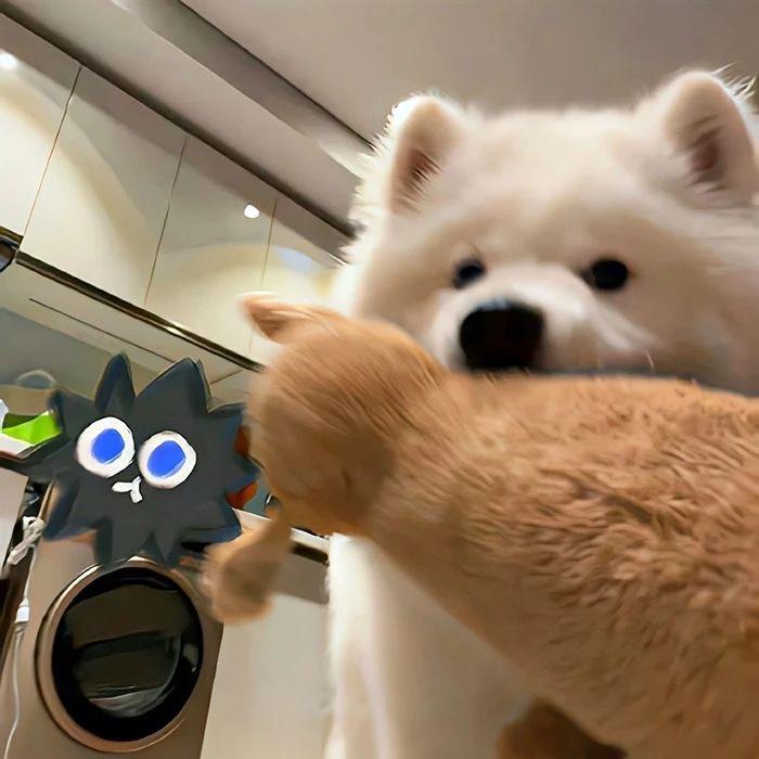 N