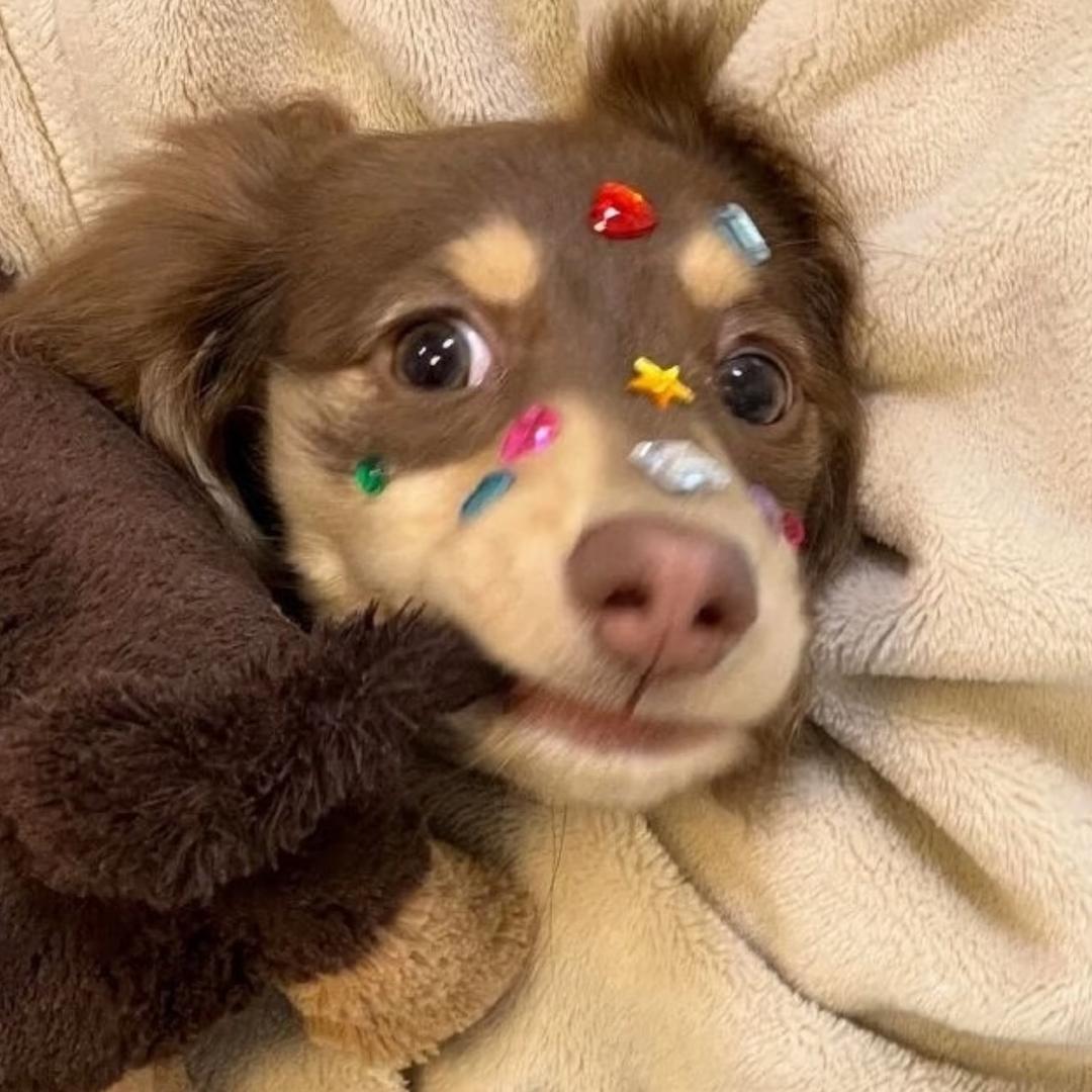 '◡'