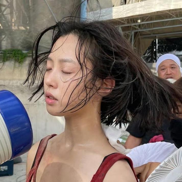 麻栗坡木