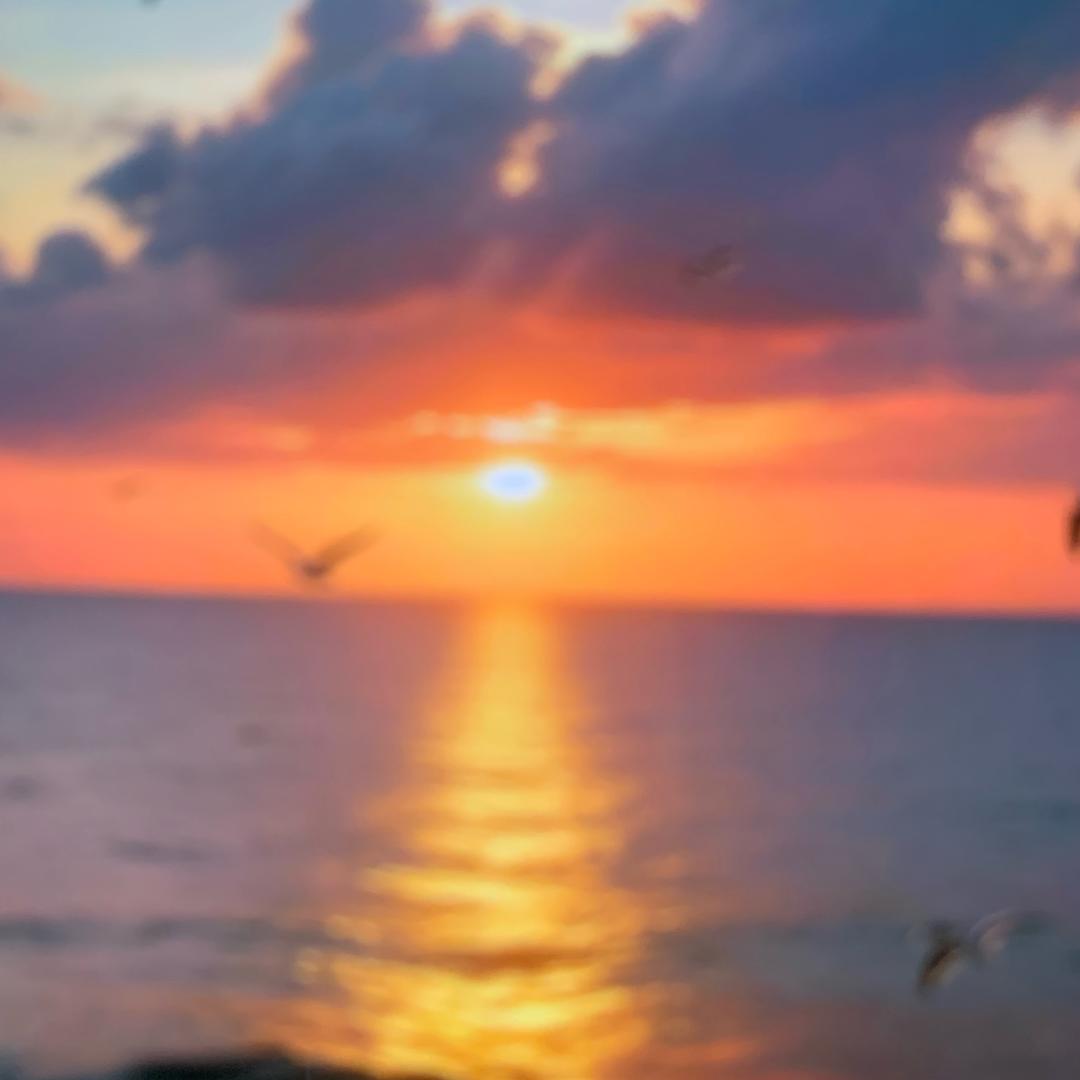 静一