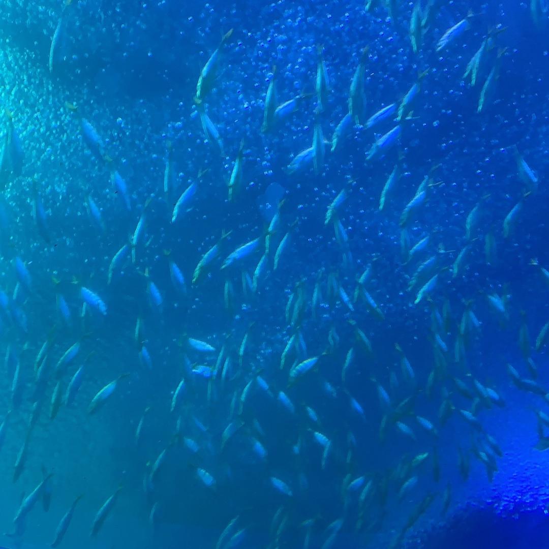 😘😘😘抖起来