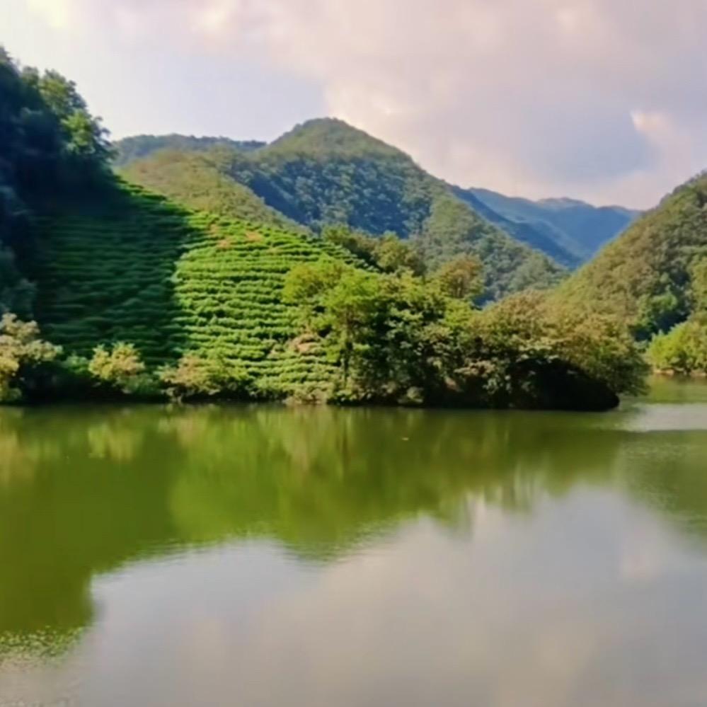 慧霖