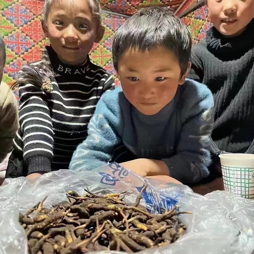 青藏滋补特产优选