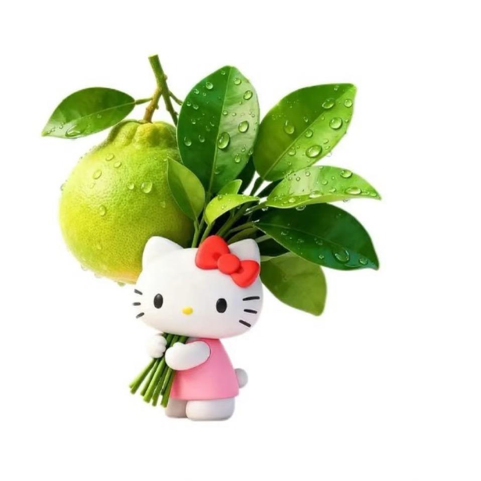 菜菜.