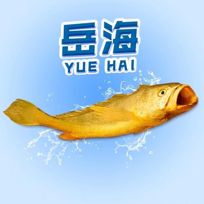 岳海旗舰店大黄鱼甄选