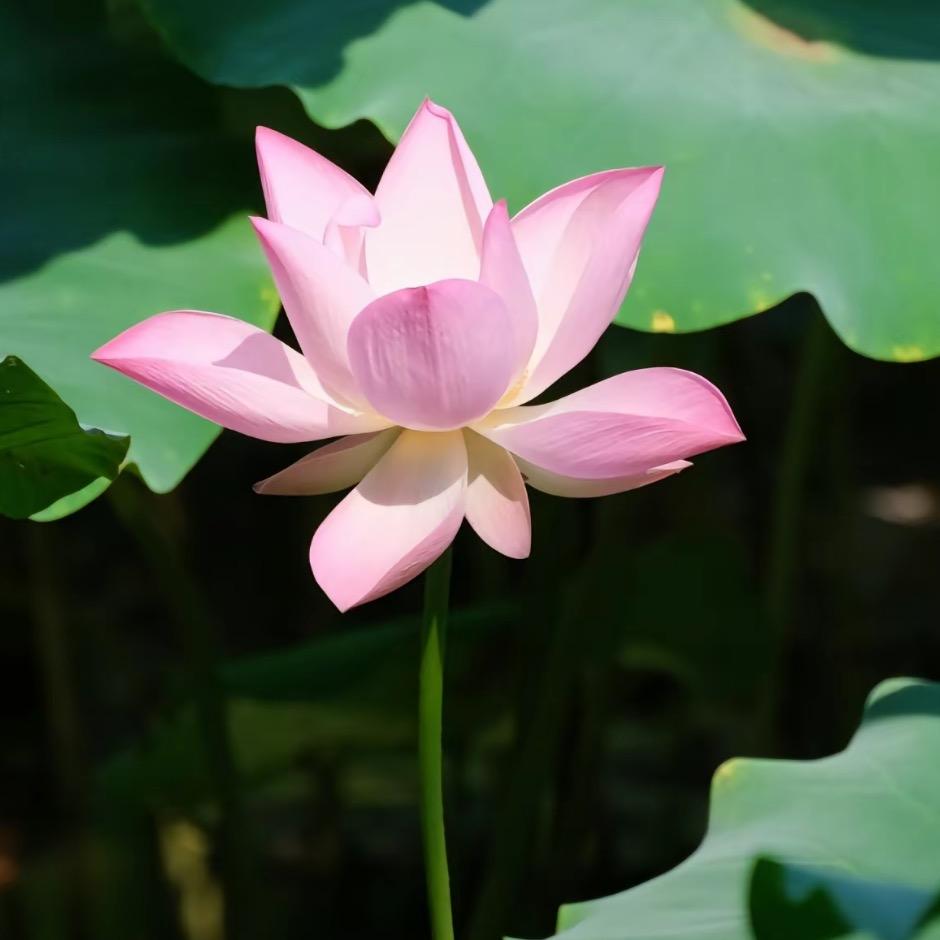 发发美好生活