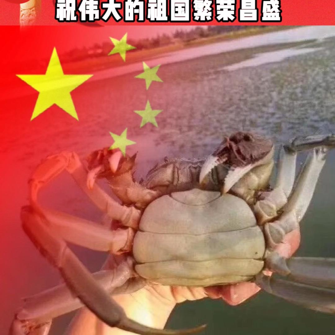 兴化小老梅精品大闸蟹养殖基地