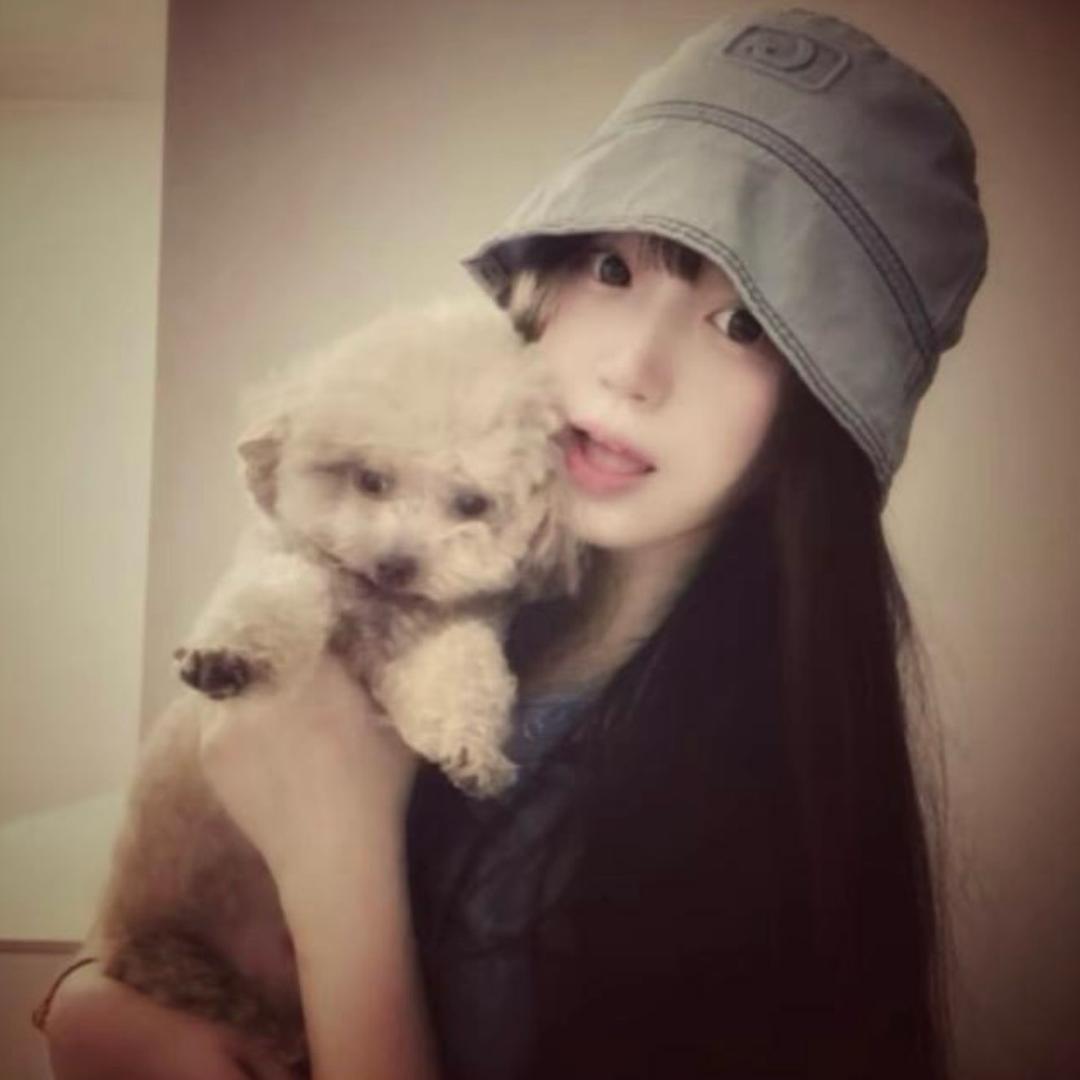 蛋挞不吃蛋挞皮