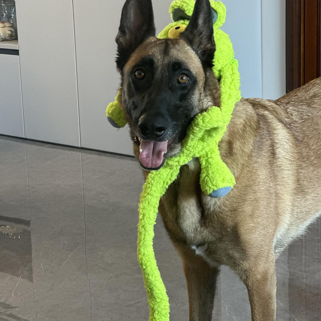 惊喜萌宠玩具馆