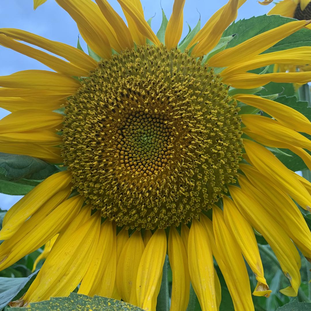 爱的港湾【正能量】