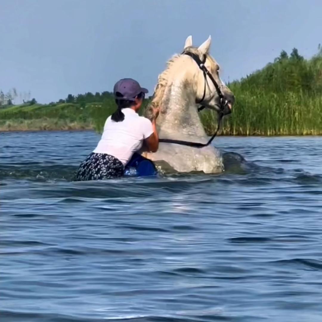 🇨🇳 小马🐎有点忙