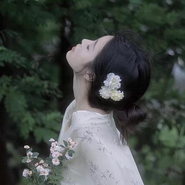 不知名树📷