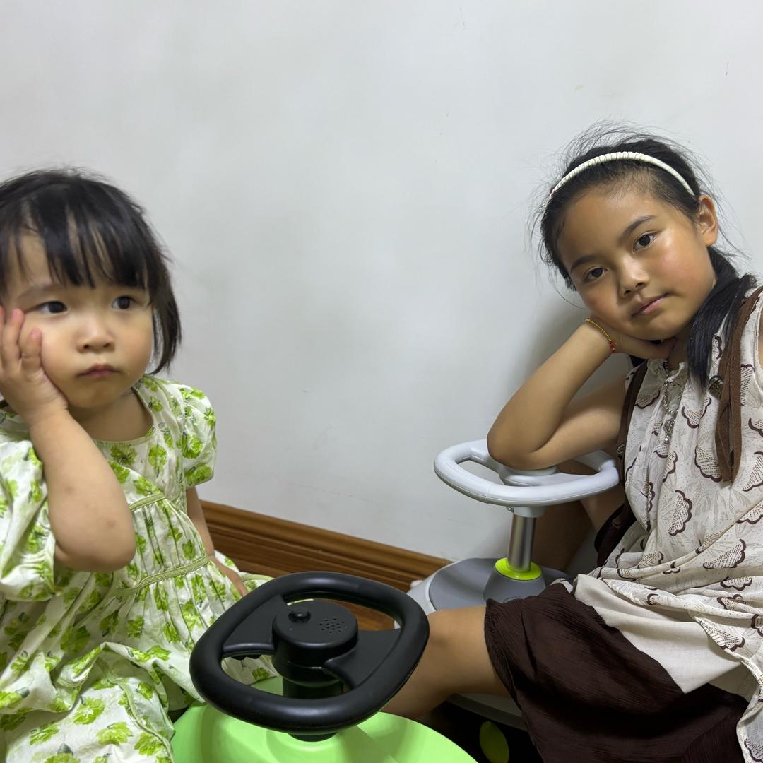 旺财是只暹罗狗