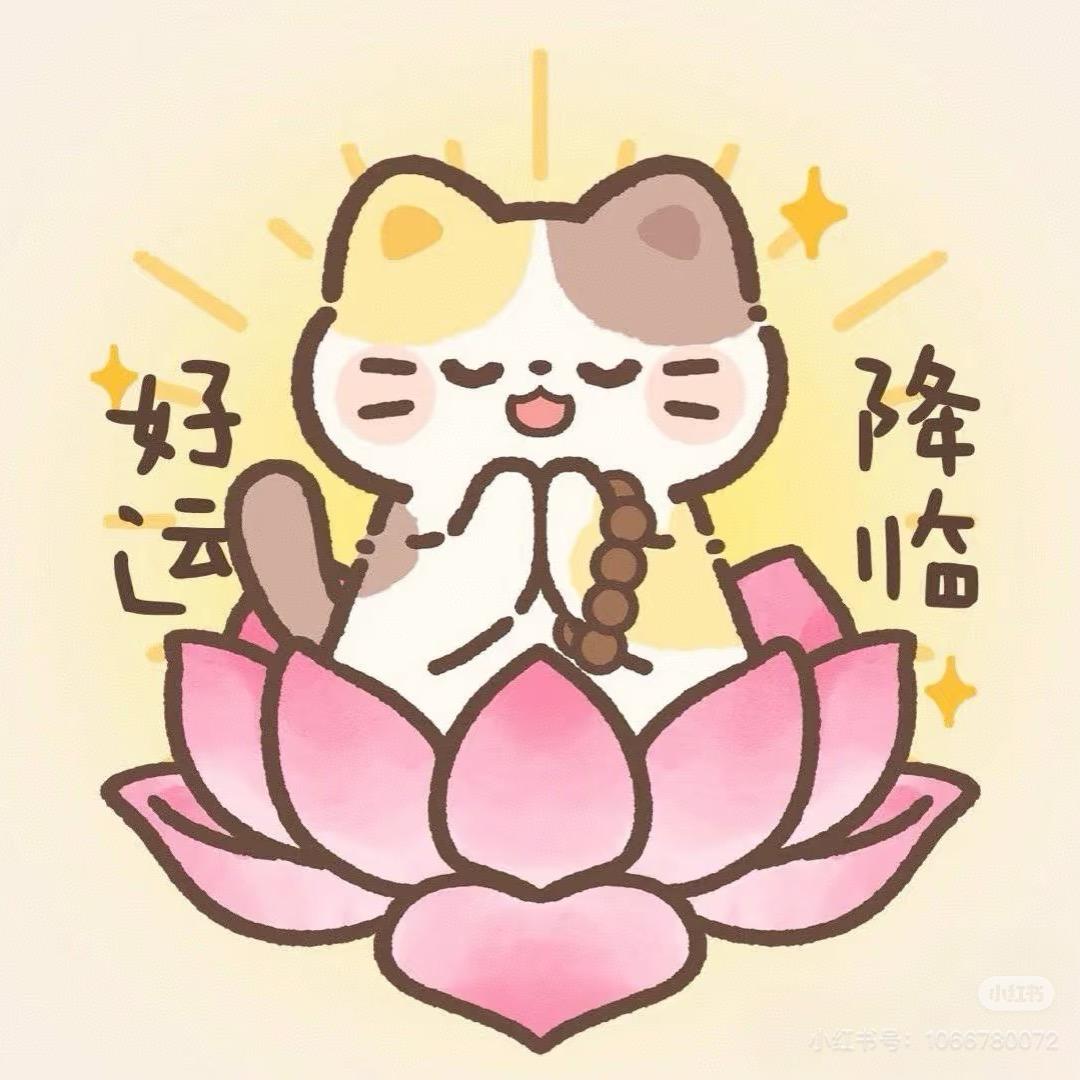 小喵星⭐