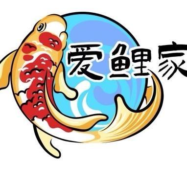 萌鱼小鲤