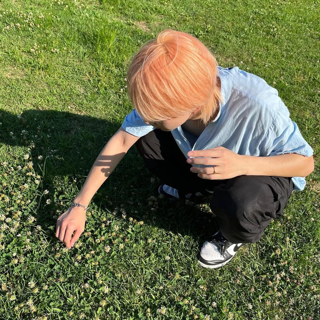 单纯的追星女