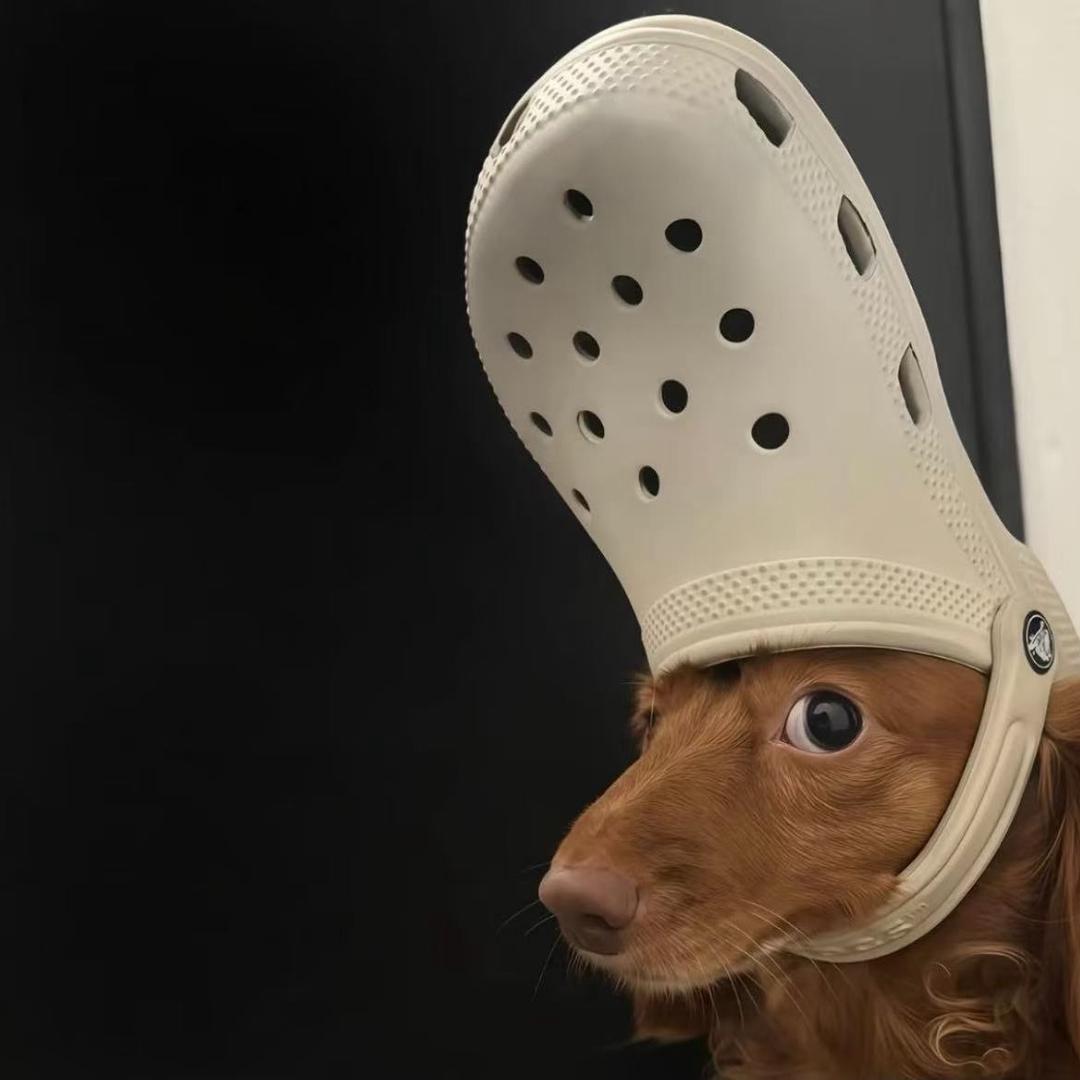 碰碰车（三角洲行动）