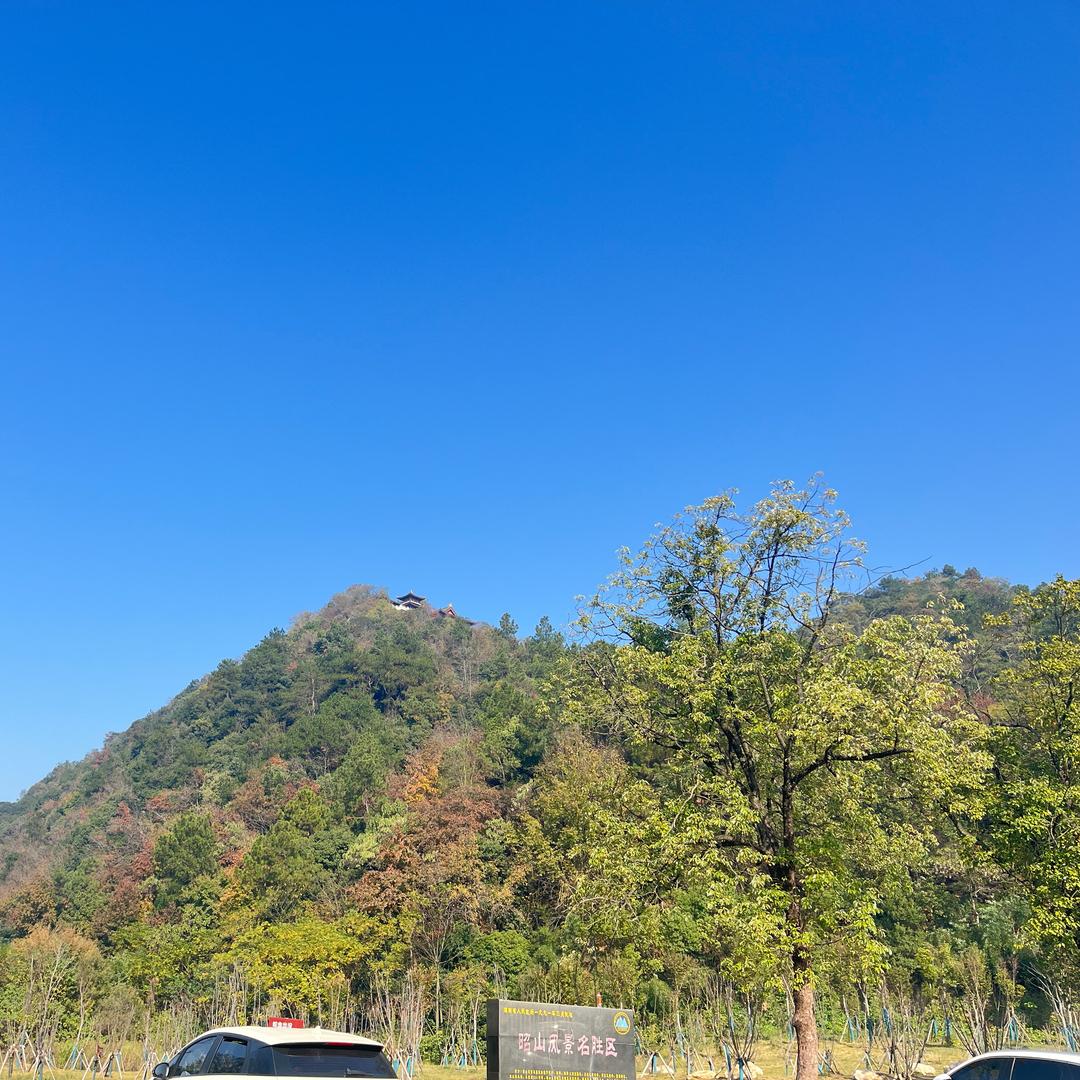 岳岳