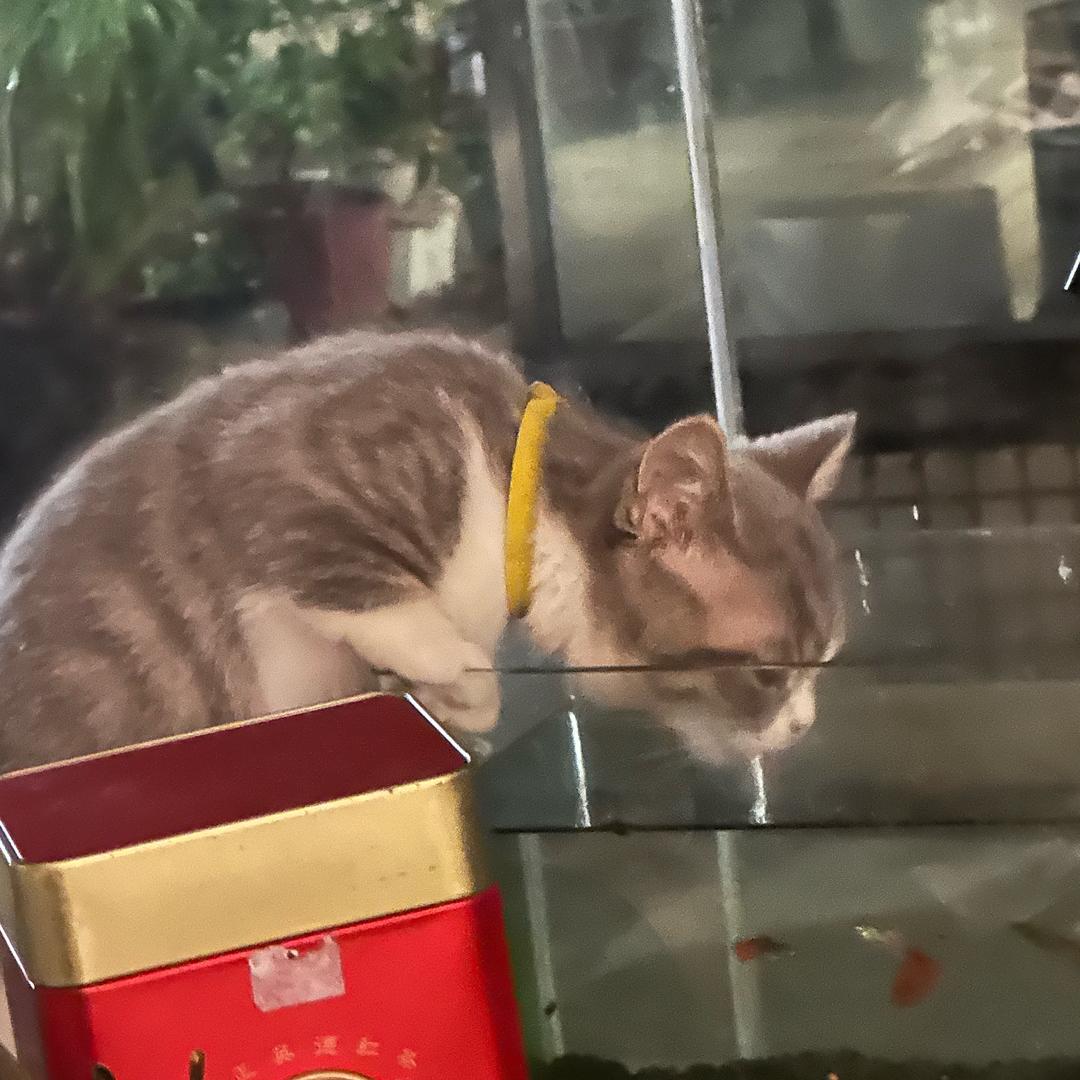 咚 咚咚锵
